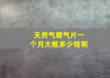 天然气暖气片一个月大概多少钱啊