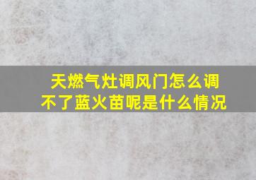 天燃气灶调风门怎么调不了蓝火苗呢是什么情况