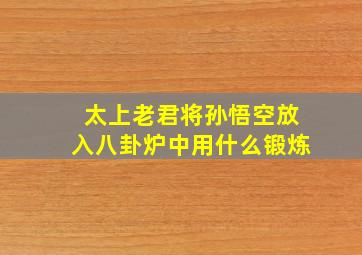 太上老君将孙悟空放入八卦炉中用什么锻炼