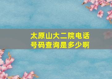 太原山大二院电话号码查询是多少啊