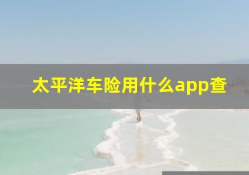 太平洋车险用什么app查