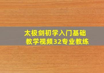 太极剑初学入门基础教学视频32专业教练