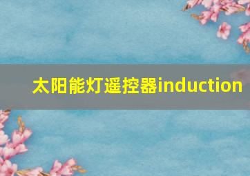 太阳能灯遥控器induction