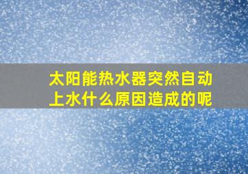 太阳能热水器突然自动上水什么原因造成的呢