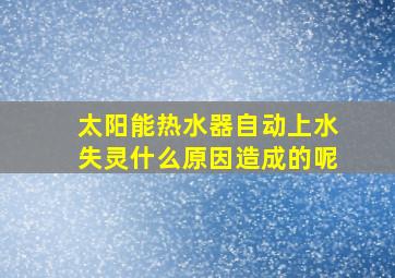 太阳能热水器自动上水失灵什么原因造成的呢