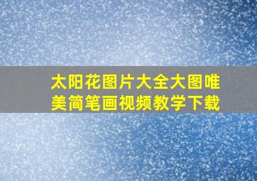 太阳花图片大全大图唯美简笔画视频教学下载