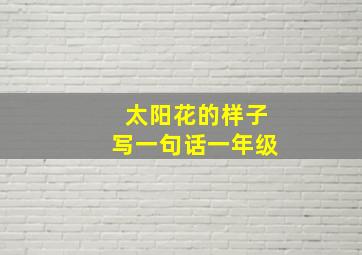 太阳花的样子写一句话一年级