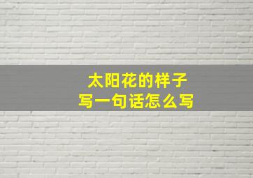 太阳花的样子写一句话怎么写