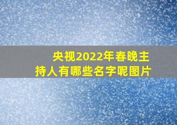 央视2022年春晚主持人有哪些名字呢图片