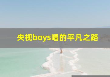 央视boys唱的平凡之路