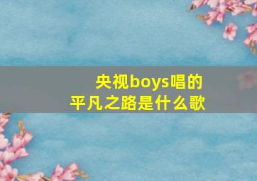 央视boys唱的平凡之路是什么歌