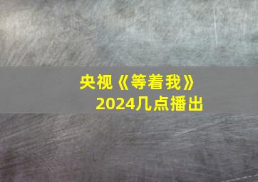 央视《等着我》2024几点播出