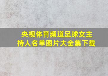 央视体育频道足球女主持人名单图片大全集下载