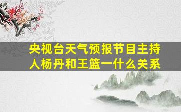 央视台天气预报节目主持人杨丹和王篮一什么关系