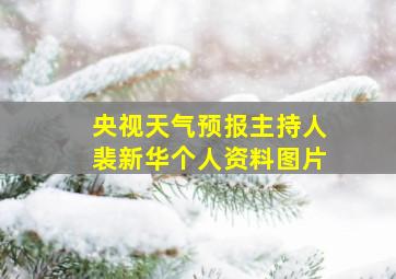 央视天气预报主持人裴新华个人资料图片