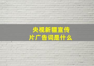 央视新疆宣传片广告词是什么