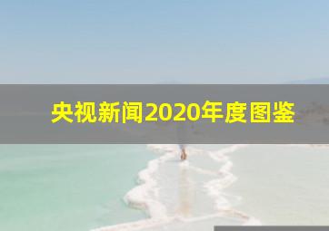 央视新闻2020年度图鉴