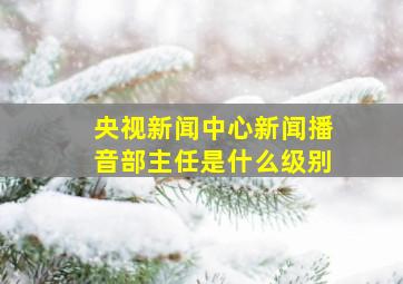 央视新闻中心新闻播音部主任是什么级别