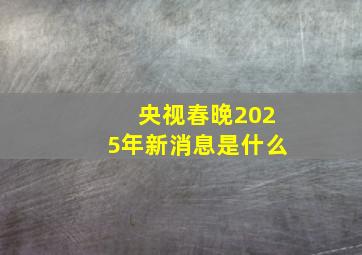 央视春晚2025年新消息是什么