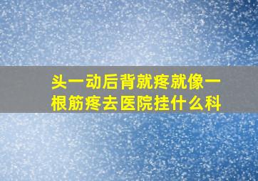 头一动后背就疼就像一根筋疼去医院挂什么科