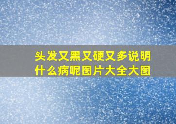 头发又黑又硬又多说明什么病呢图片大全大图