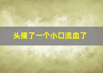 头撞了一个小口流血了