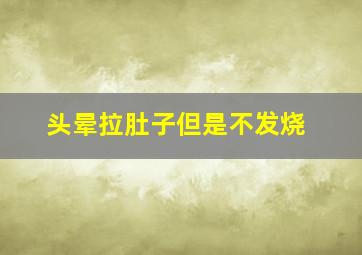 头晕拉肚子但是不发烧