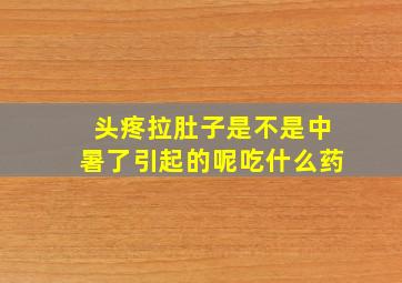 头疼拉肚子是不是中暑了引起的呢吃什么药