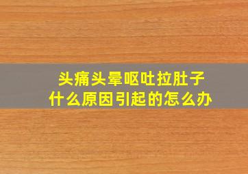 头痛头晕呕吐拉肚子什么原因引起的怎么办