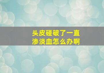 头皮碰破了一直渗淡血怎么办啊