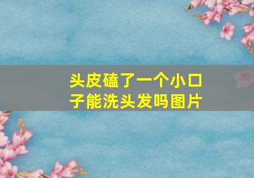 头皮磕了一个小口子能洗头发吗图片