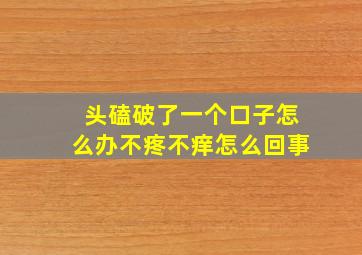 头磕破了一个口子怎么办不疼不痒怎么回事