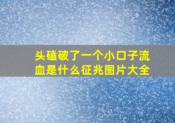 头磕破了一个小口子流血是什么征兆图片大全