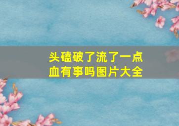 头磕破了流了一点血有事吗图片大全