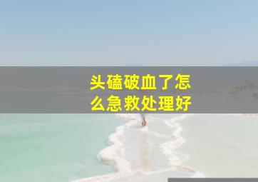 头磕破血了怎么急救处理好