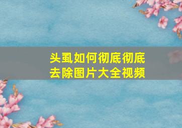 头虱如何彻底彻底去除图片大全视频