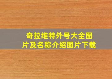 奇拉维特外号大全图片及名称介绍图片下载