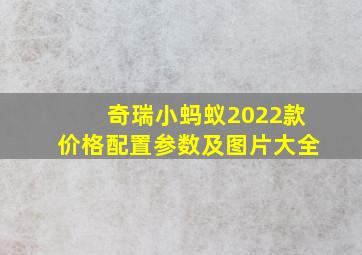 奇瑞小蚂蚁2022款价格配置参数及图片大全