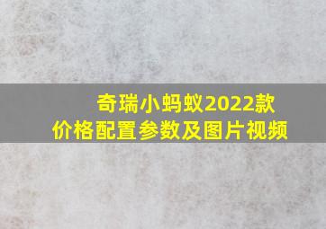 奇瑞小蚂蚁2022款价格配置参数及图片视频