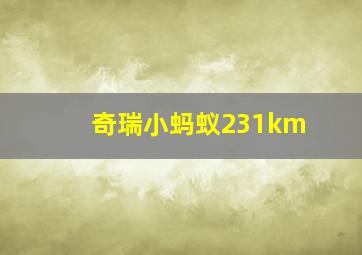 奇瑞小蚂蚁231km