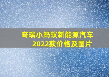 奇瑞小蚂蚁新能源汽车2022款价格及图片