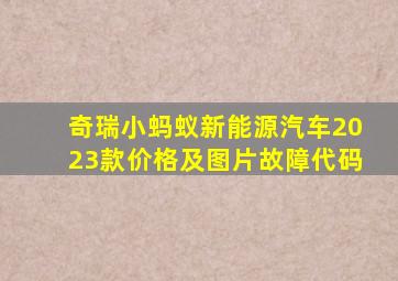 奇瑞小蚂蚁新能源汽车2023款价格及图片故障代码