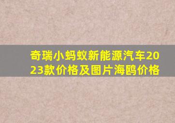 奇瑞小蚂蚁新能源汽车2023款价格及图片海鸥价格