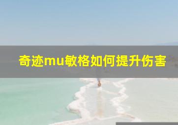 奇迹mu敏格如何提升伤害