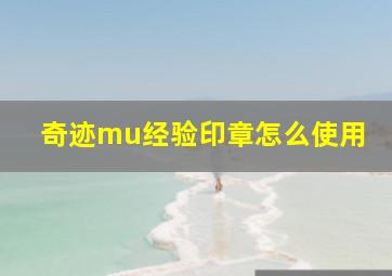 奇迹mu经验印章怎么使用