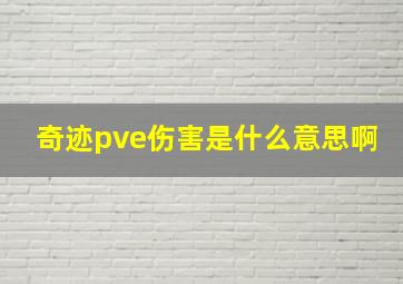 奇迹pve伤害是什么意思啊