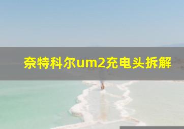 奈特科尔um2充电头拆解