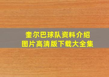 奎尔巴球队资料介绍图片高清版下载大全集