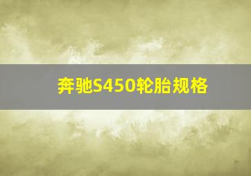 奔驰S450轮胎规格