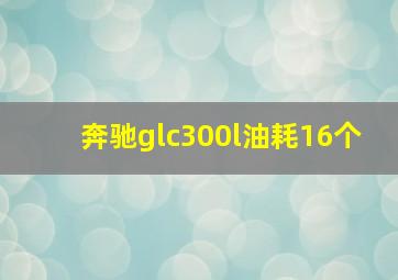 奔驰glc300l油耗16个